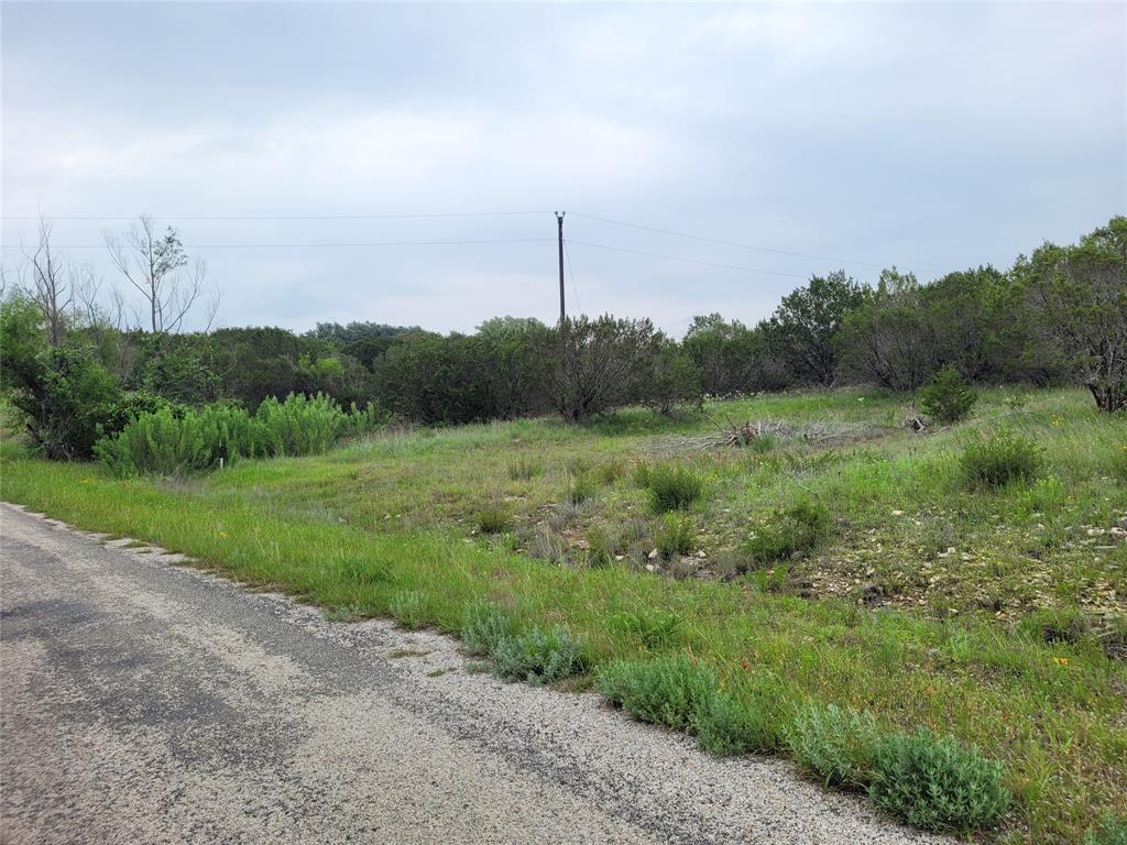 a view of a field of grass and trees