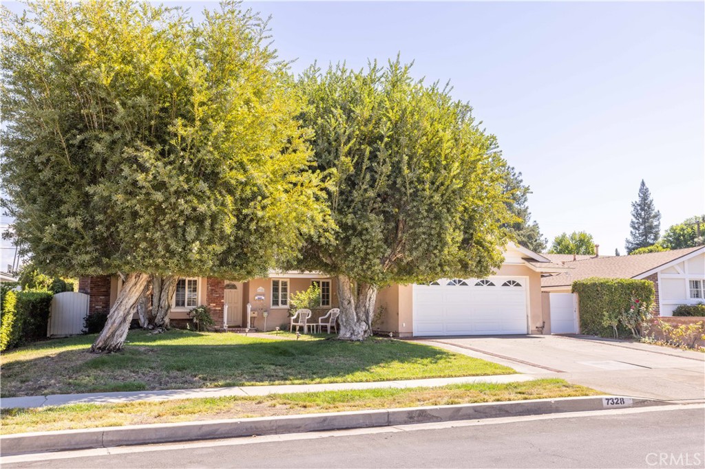 a view of a house with a yard and tree s