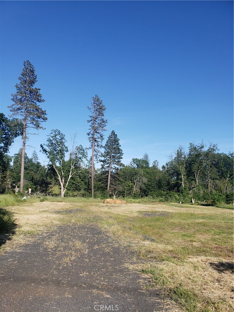 a view of a park