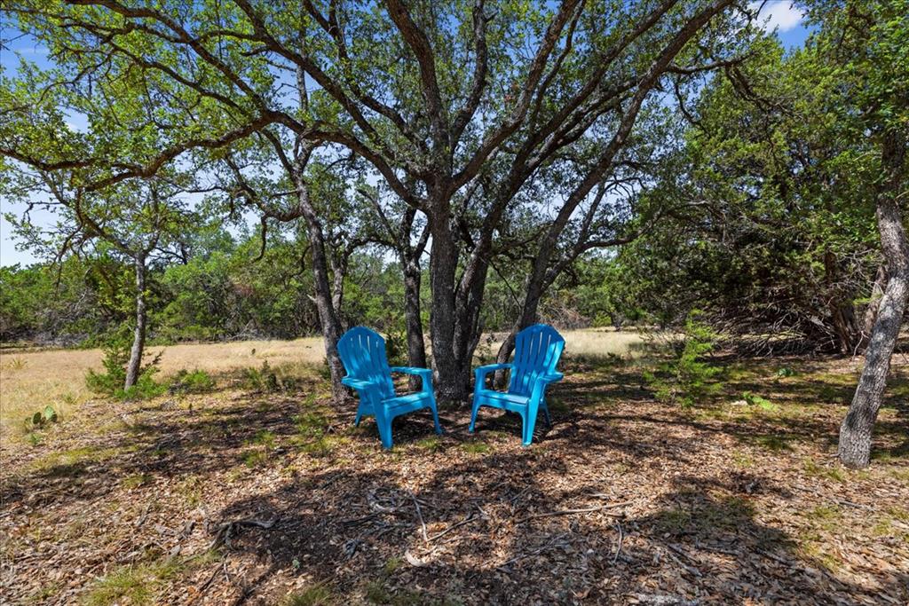 a view of outdoor space with trees