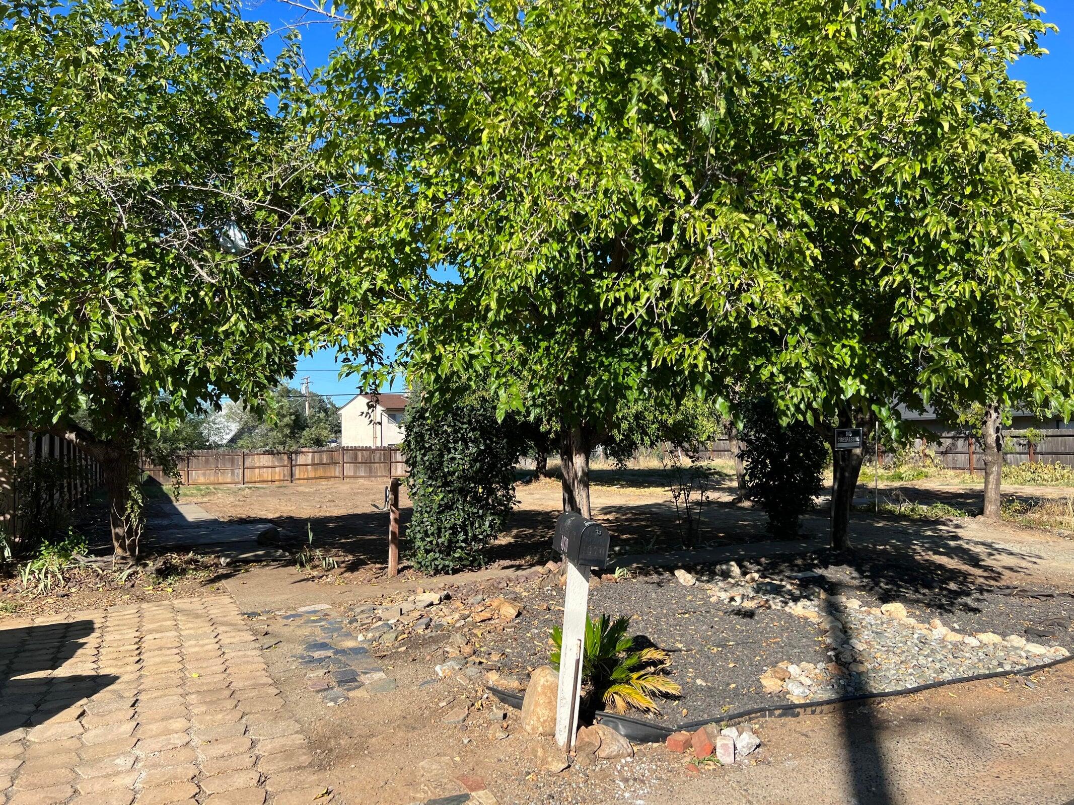 a view of a backyard of the house