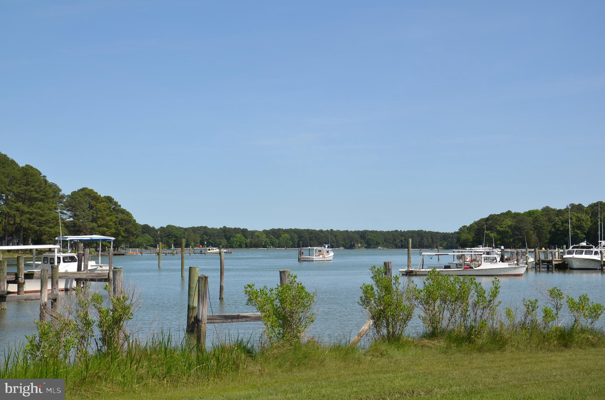 a view of lake with boats and trees in the background