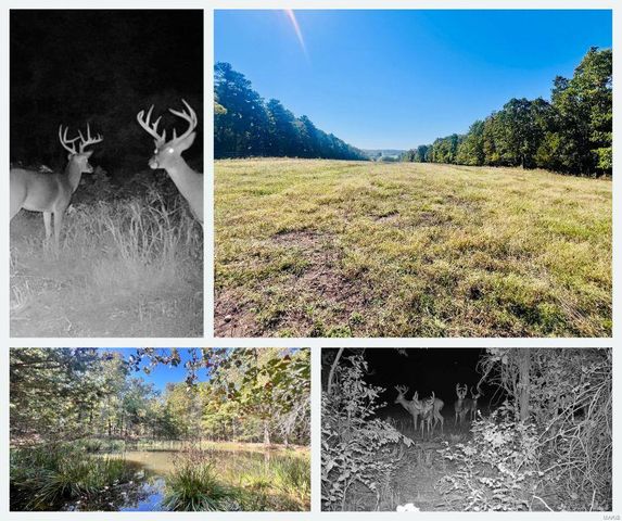 $180,000 | 0 Bell Road | Upton Township - Texas County