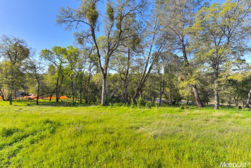 a big yard with trees in the background