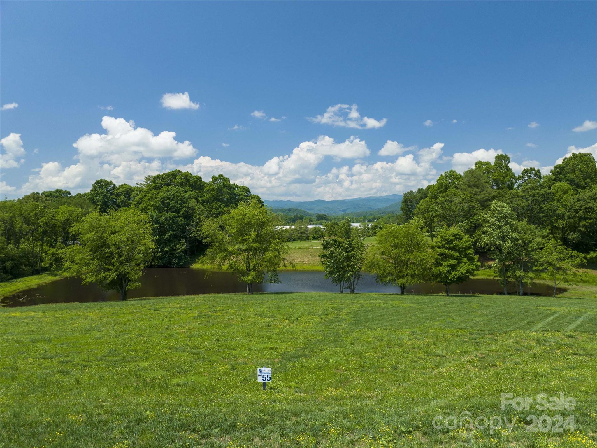 a view of a big yard with swimming pool and green space