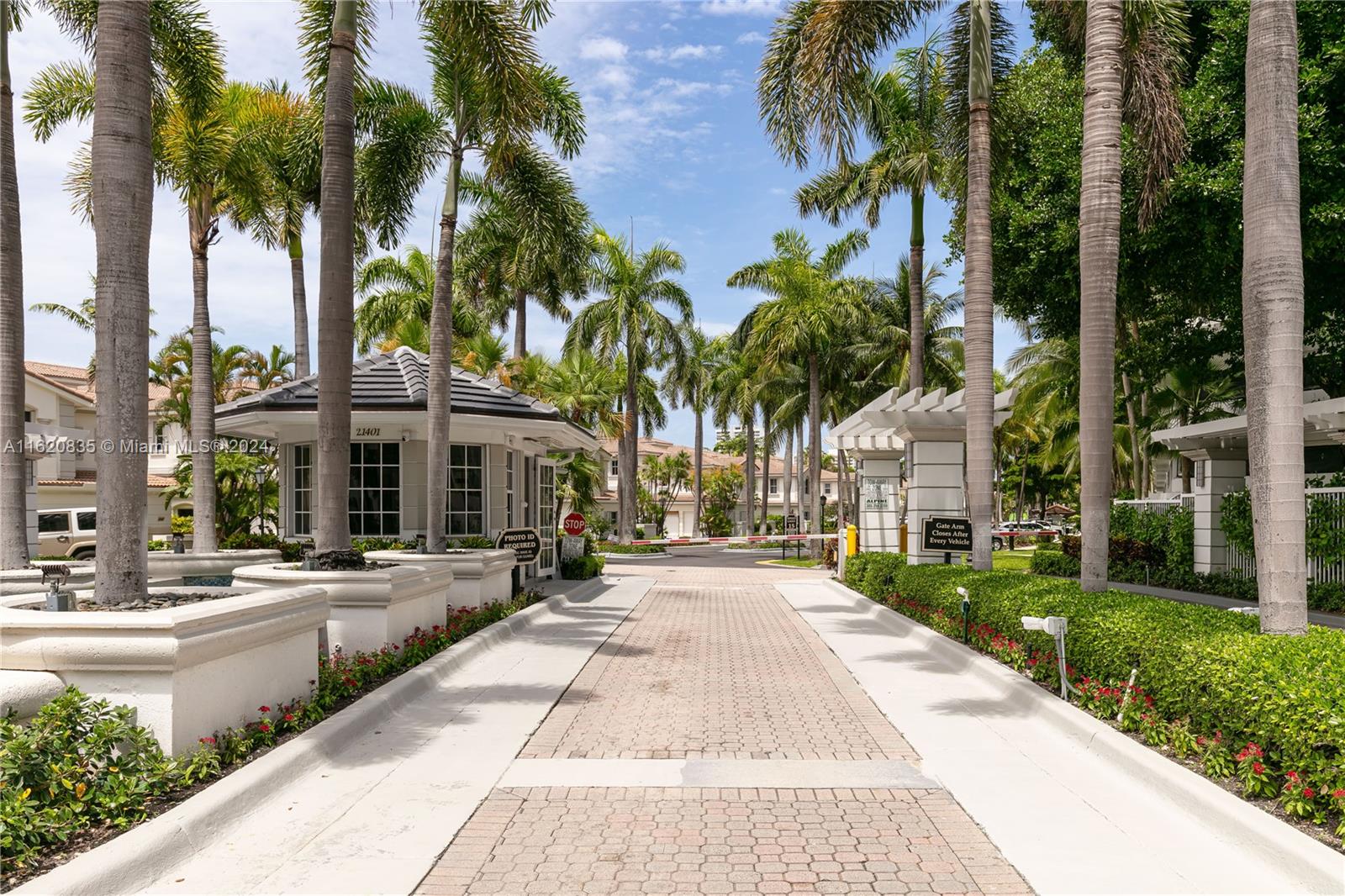 a view of a park with palm trees