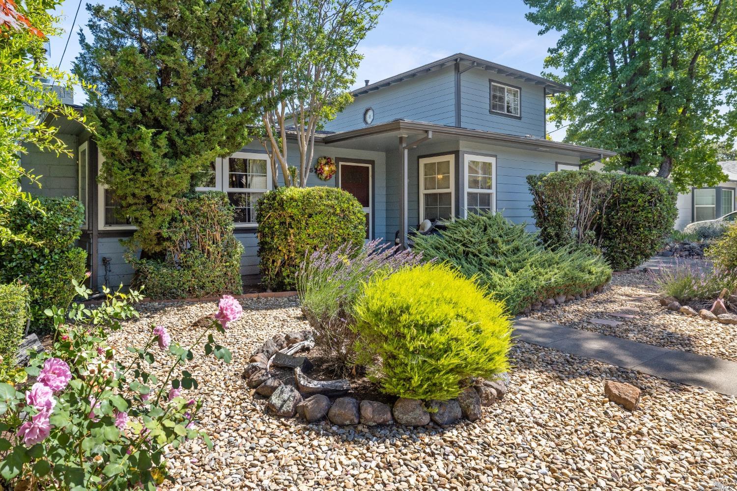 a view of a backyard with plants and a garden