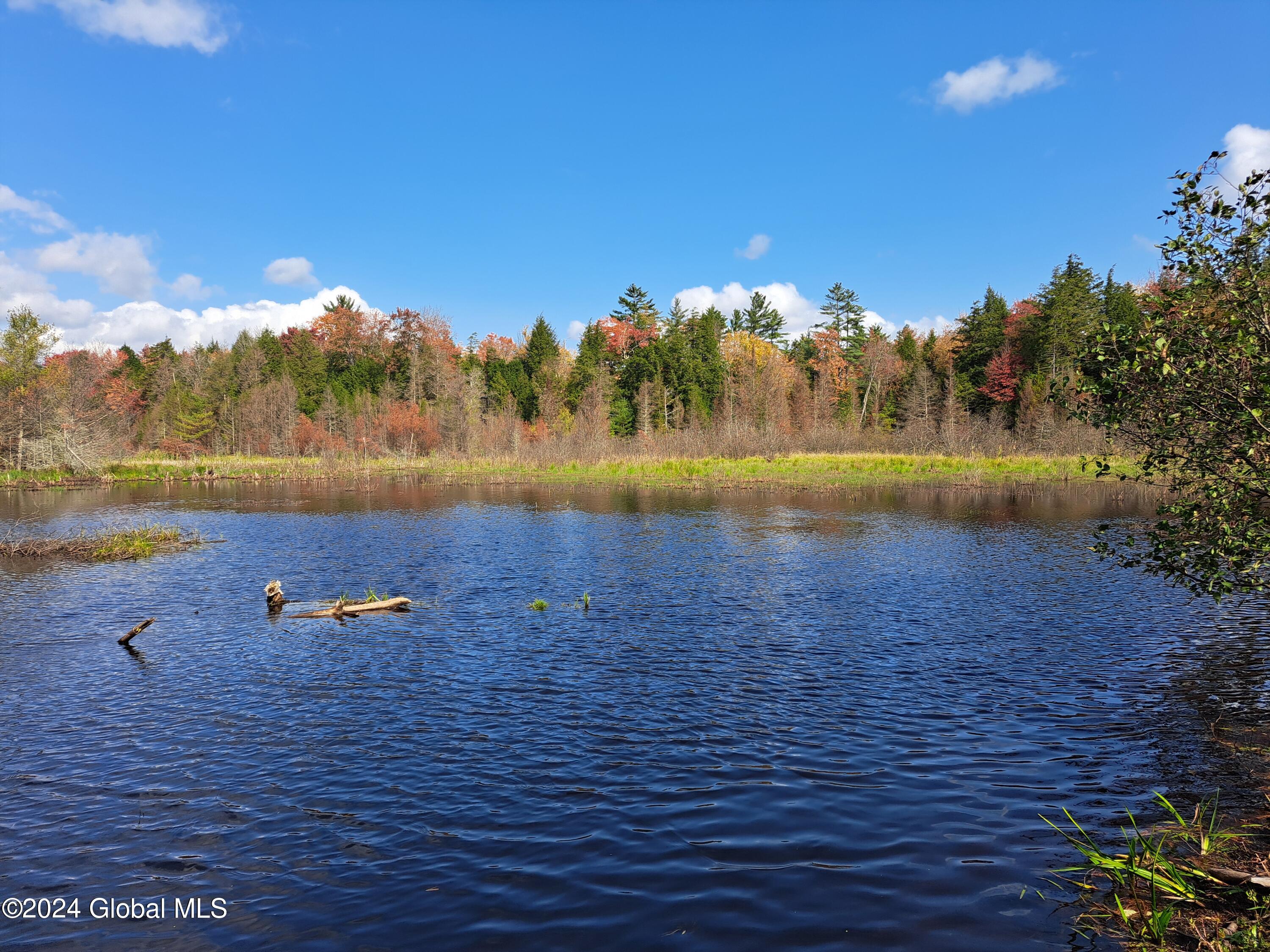 01 Beaver Pond