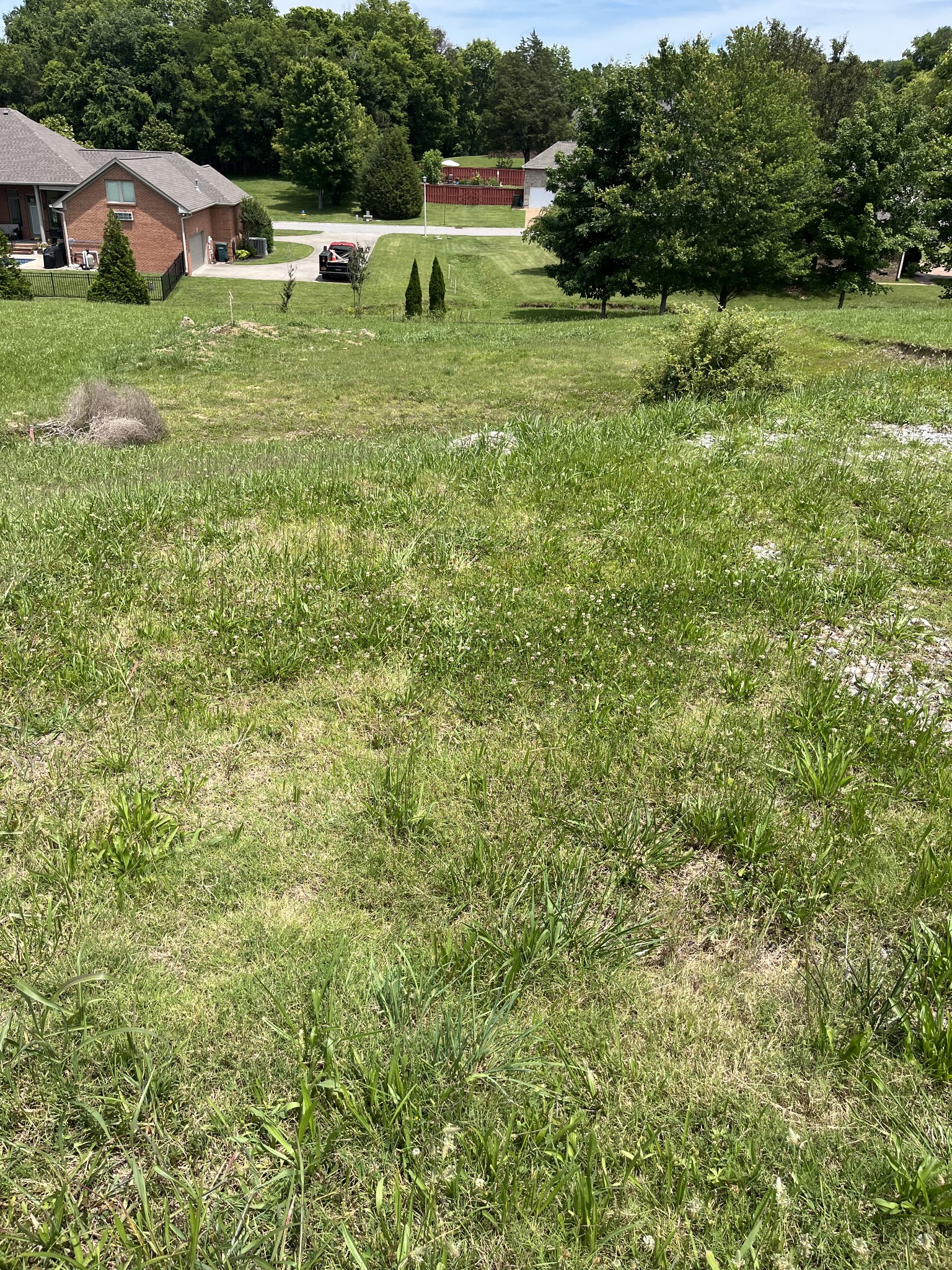 a backyard of a house with lots of green space