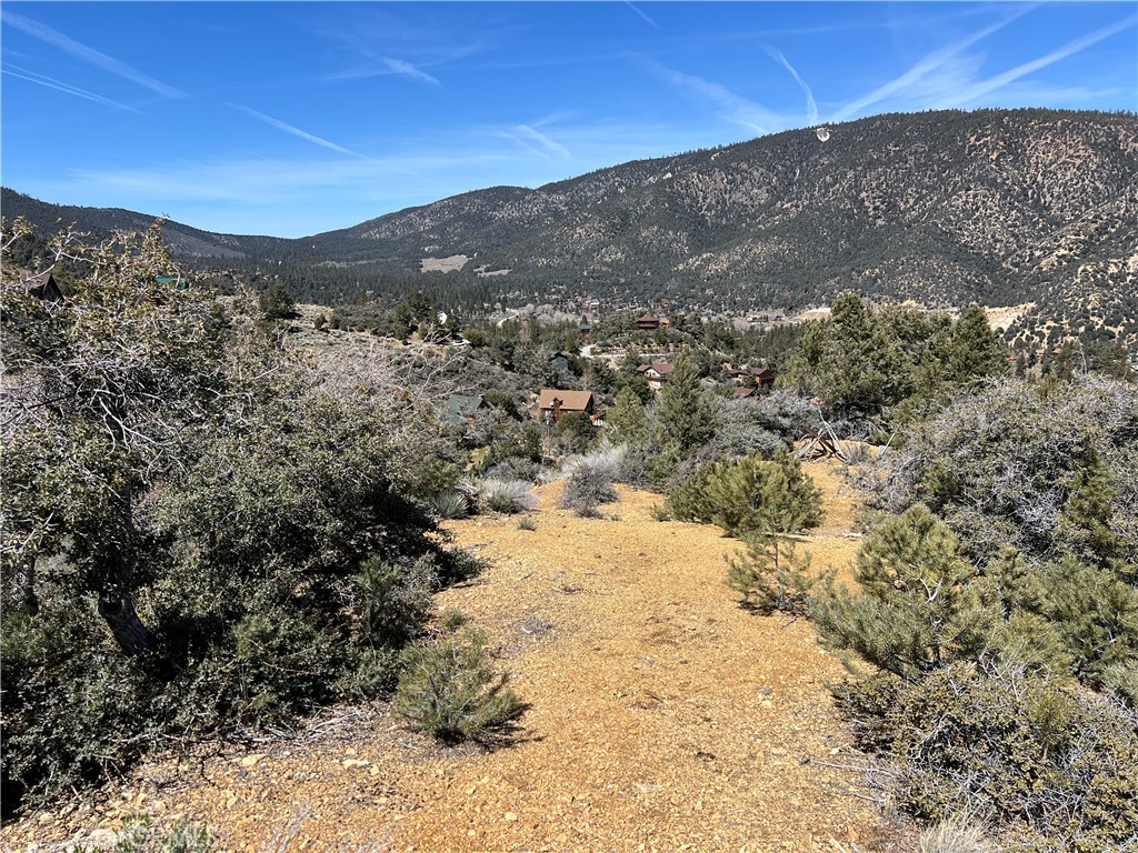 a view of a dry yard with mountains in the background