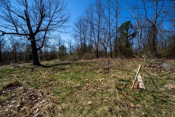 a view of backyard with green space