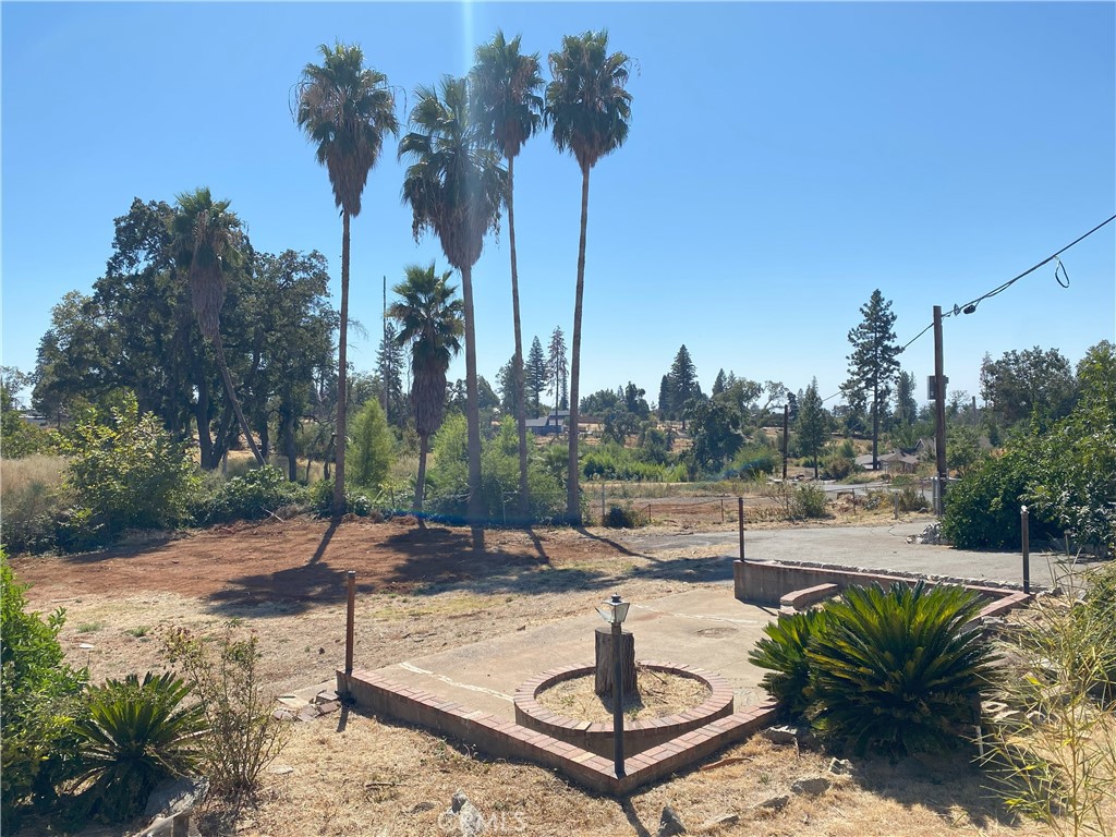 a view of a park with a fountain