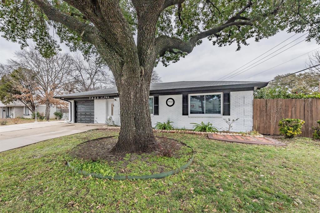 a house that has a tree in front of the house