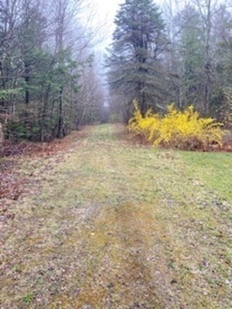 a view of a yard with mountain view