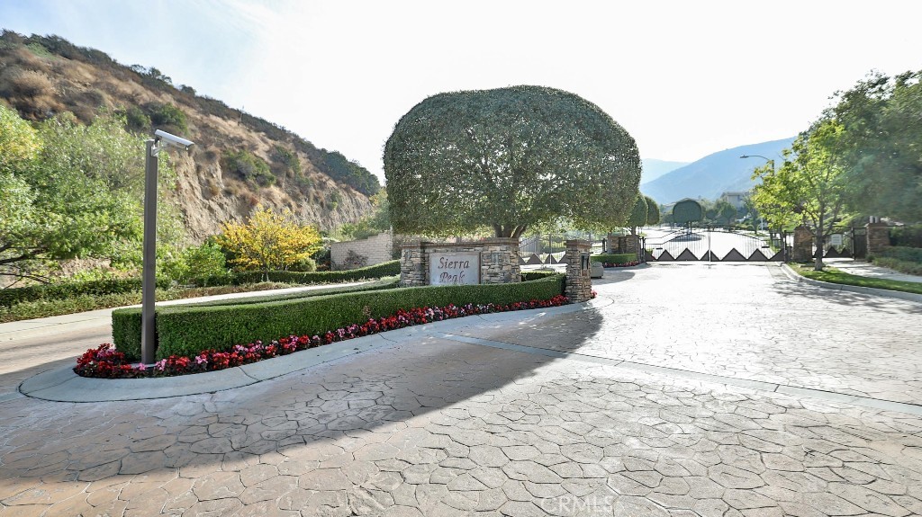 a view of a park with large tree