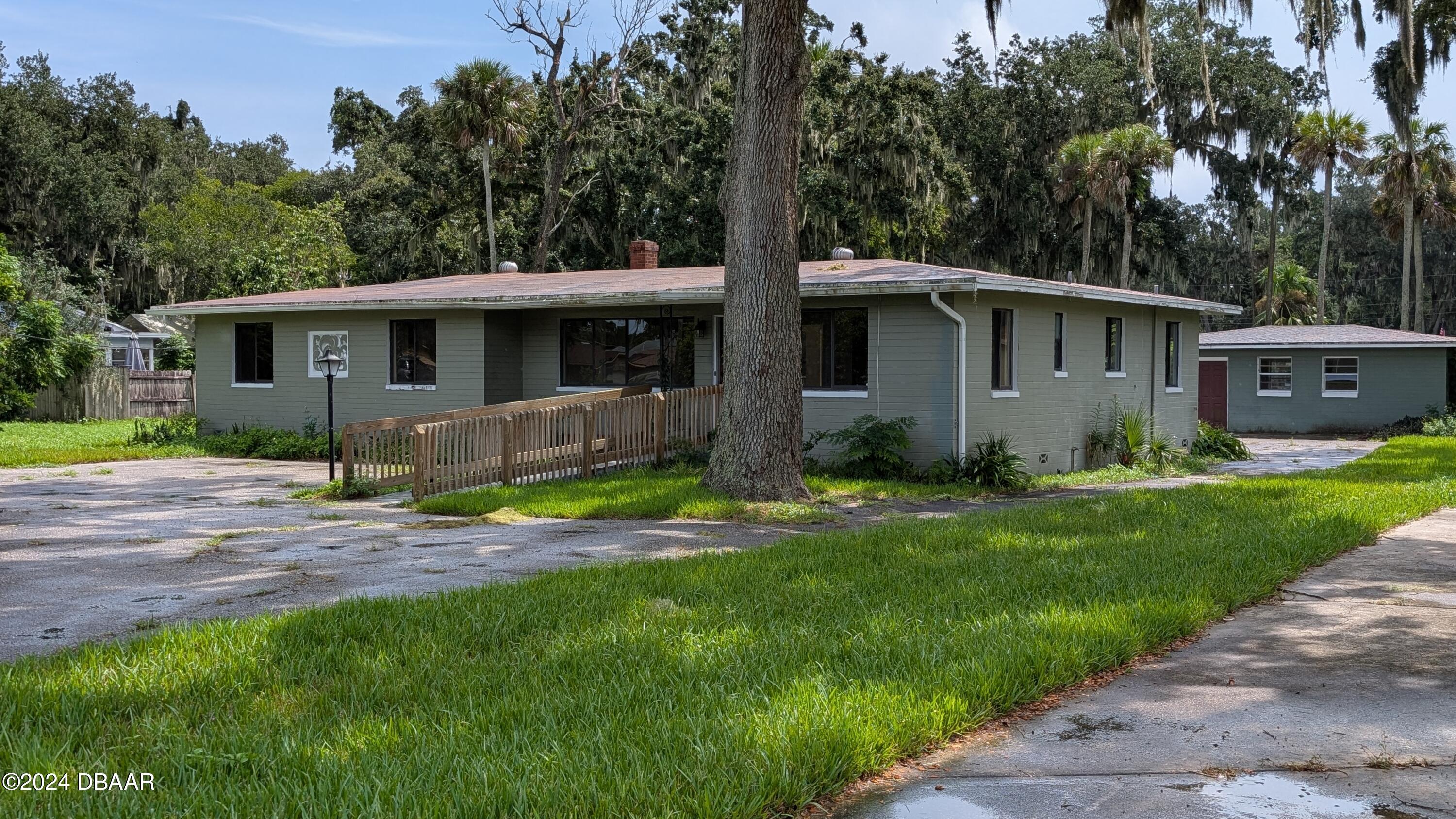 a view of a yard in front of a house with plants and large tree