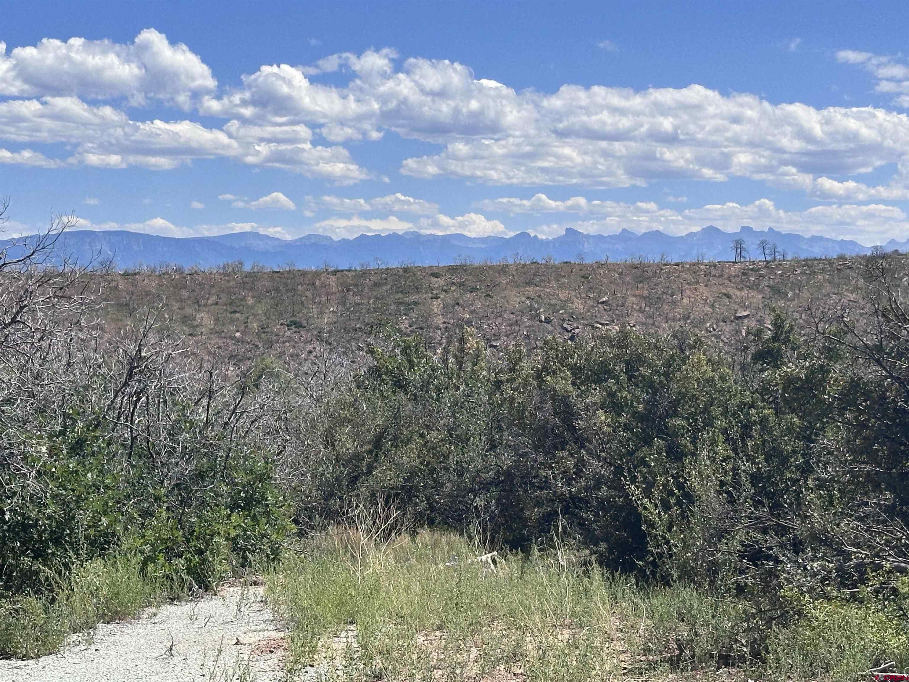 a view of a lake in between the top of lots of trees