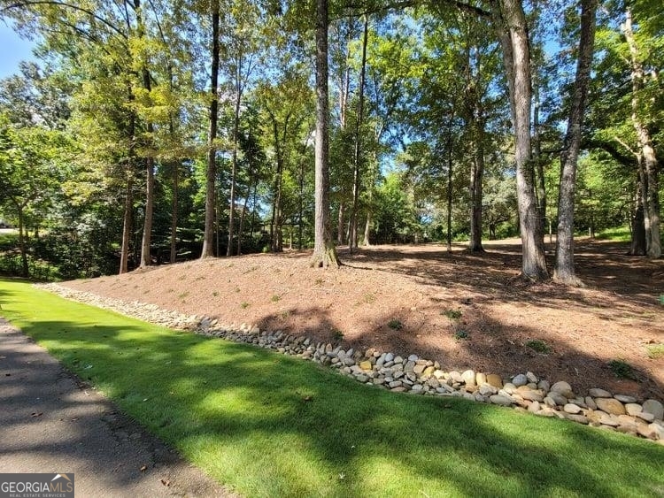 a view of outdoor space with trees all around