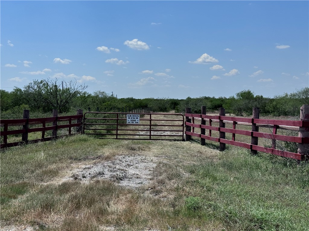 a view of a garden with wooden fence