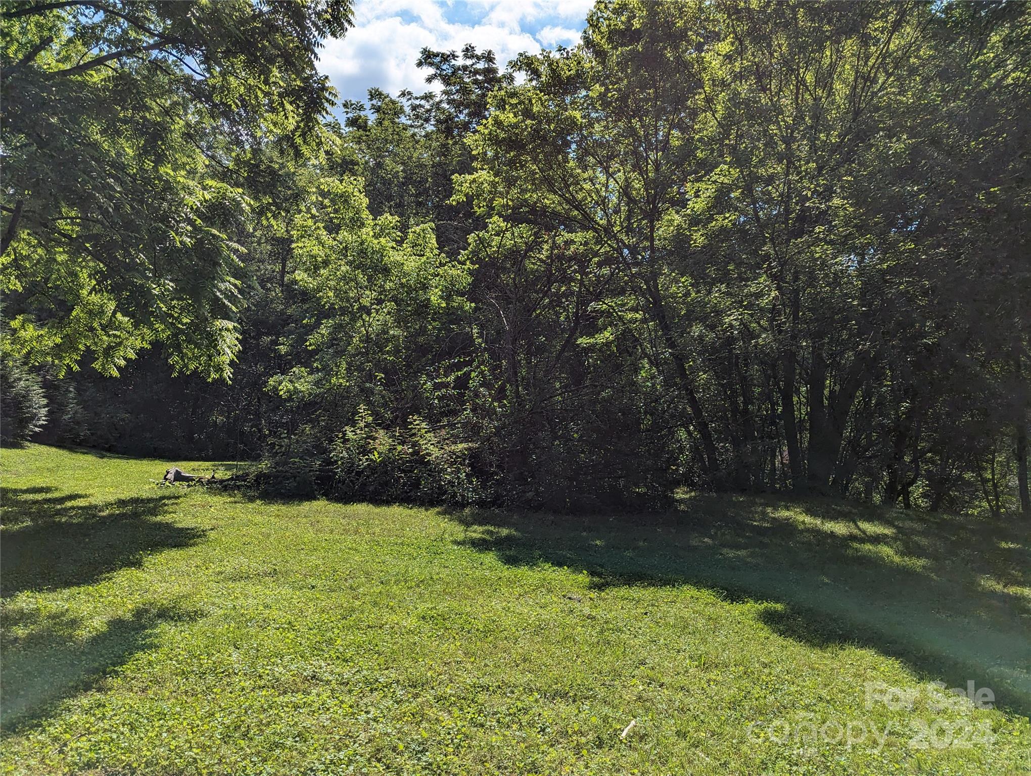 a view of backyard with green space