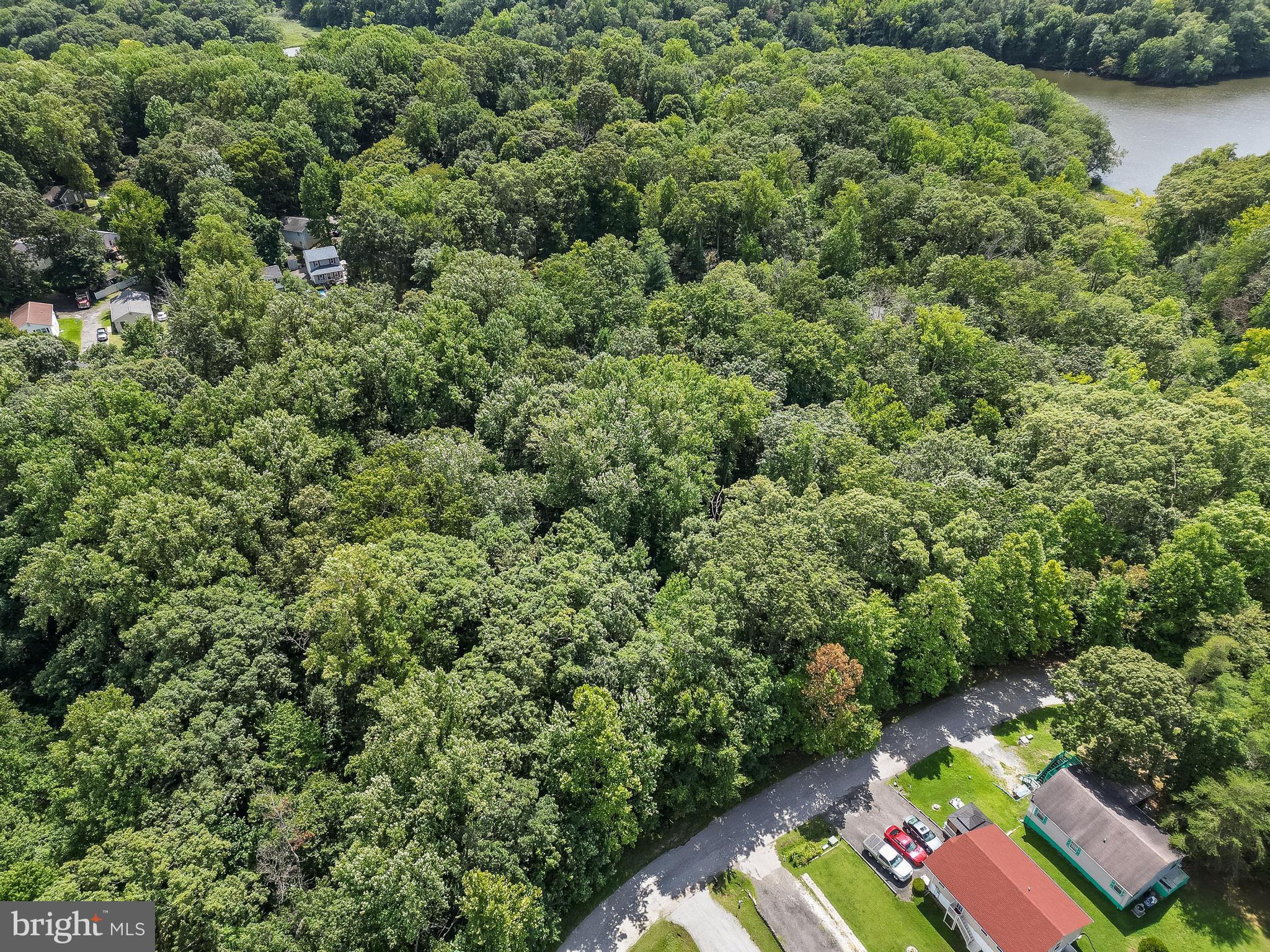 an aerial view of green landscape with trees houses and lake view