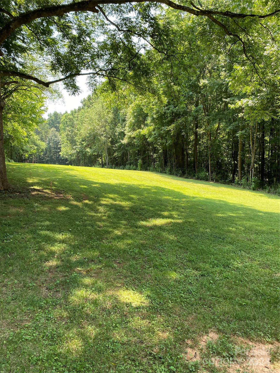 a view of a field with a trees in the background