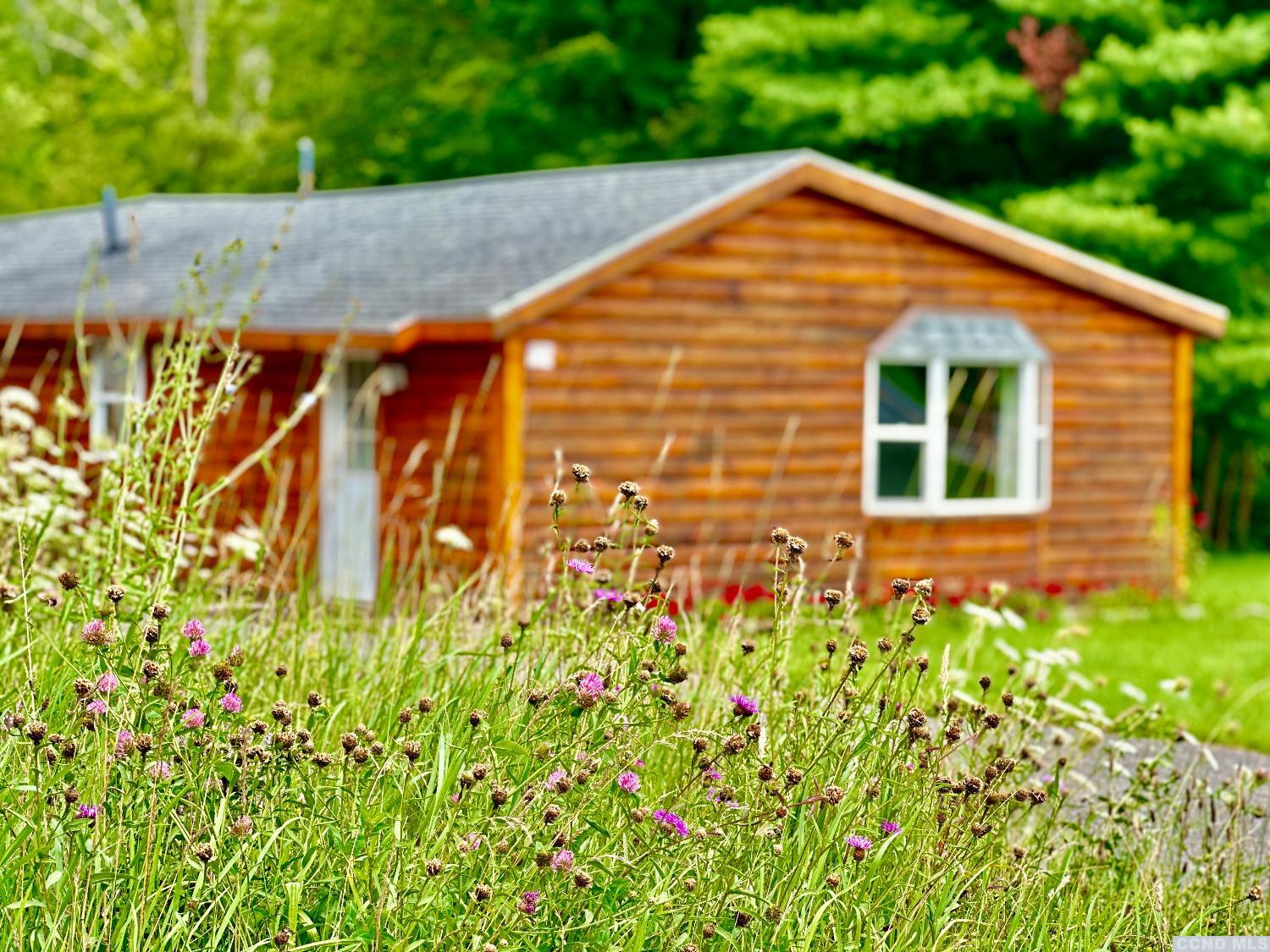 a view of a backyard with plants