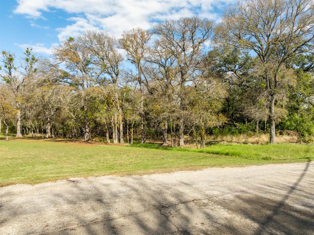 a view of a big yard with large trees