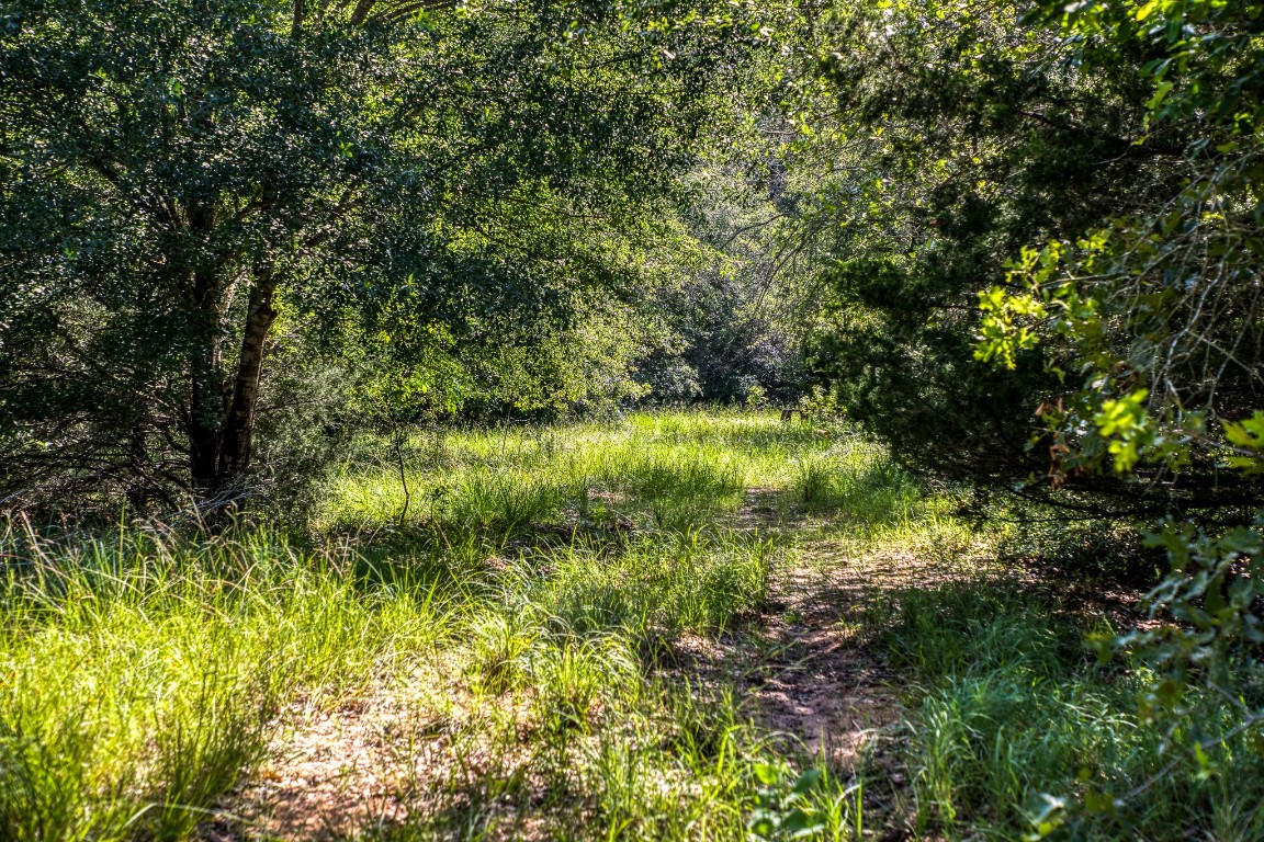 a view of outdoor space and trees