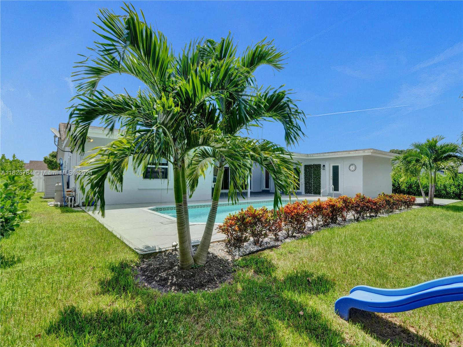 a view of a backyard with plants