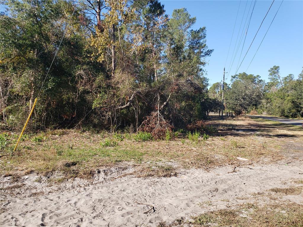 a view of dirt yard with a tree