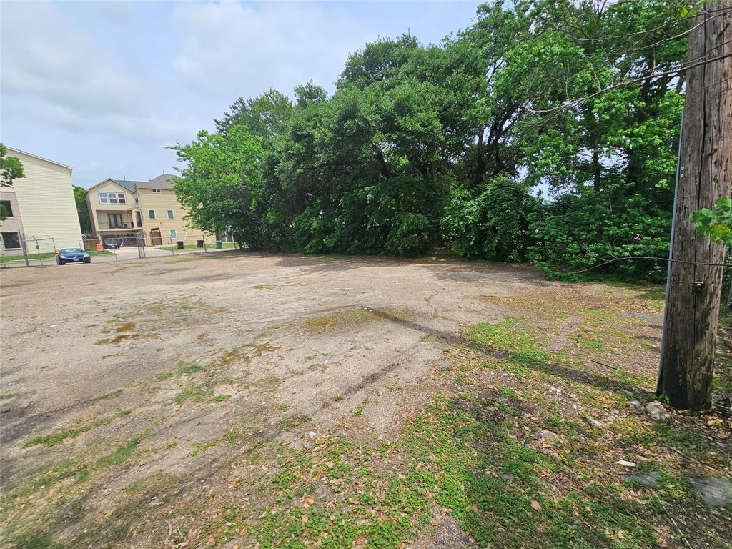 a view of a yard with a tree