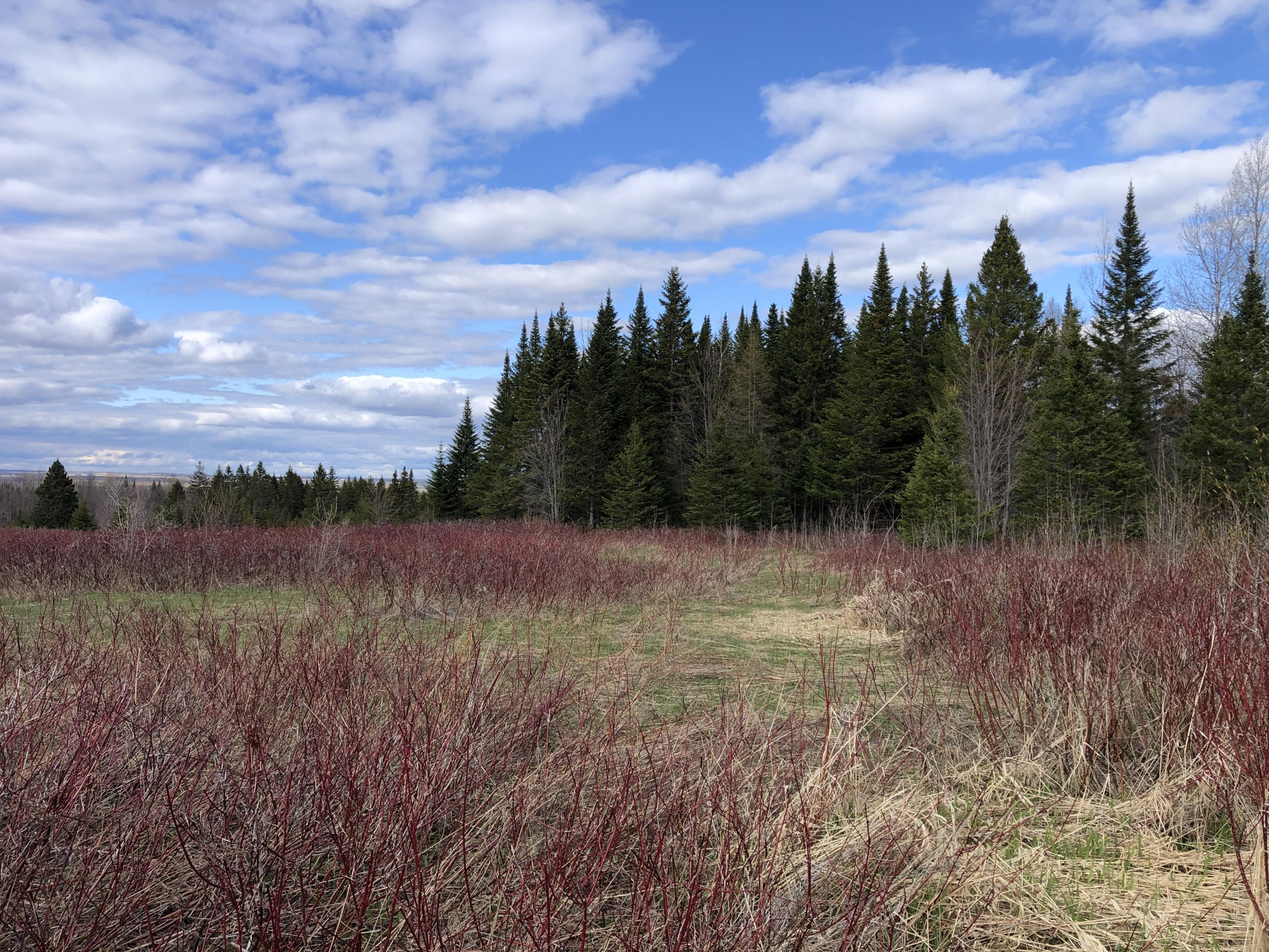 Campground Hill Rd land