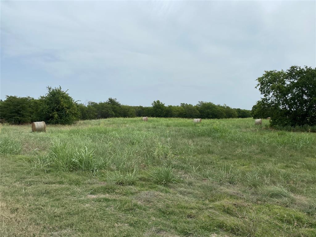 a view of a field with an trees