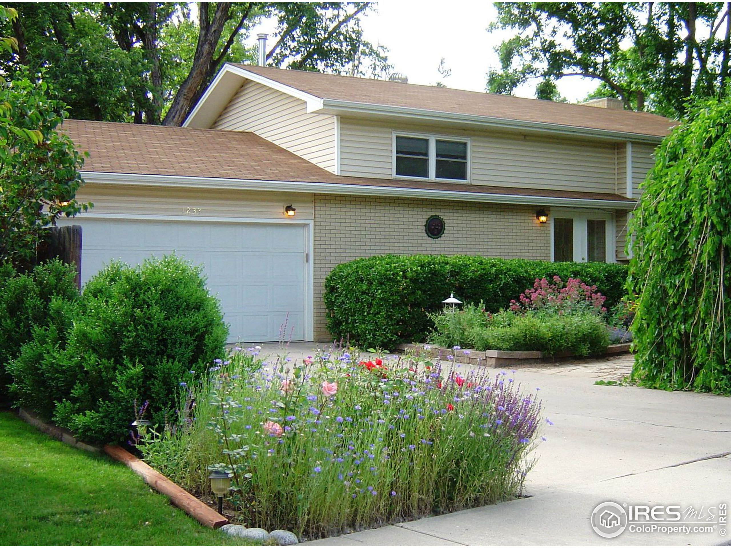 a house that has a lot of plants in it