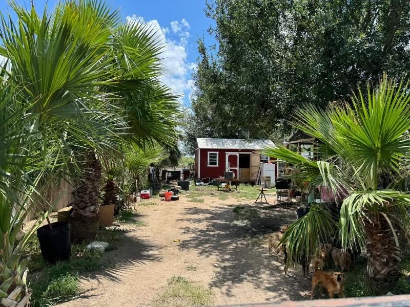 a view of a yard with plants and trees