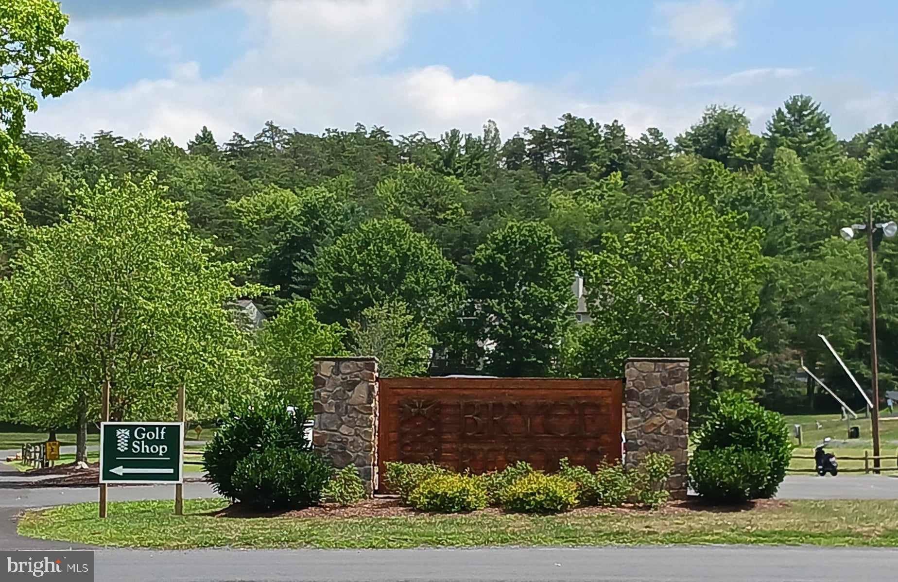 a view of a plants and trees beside of it