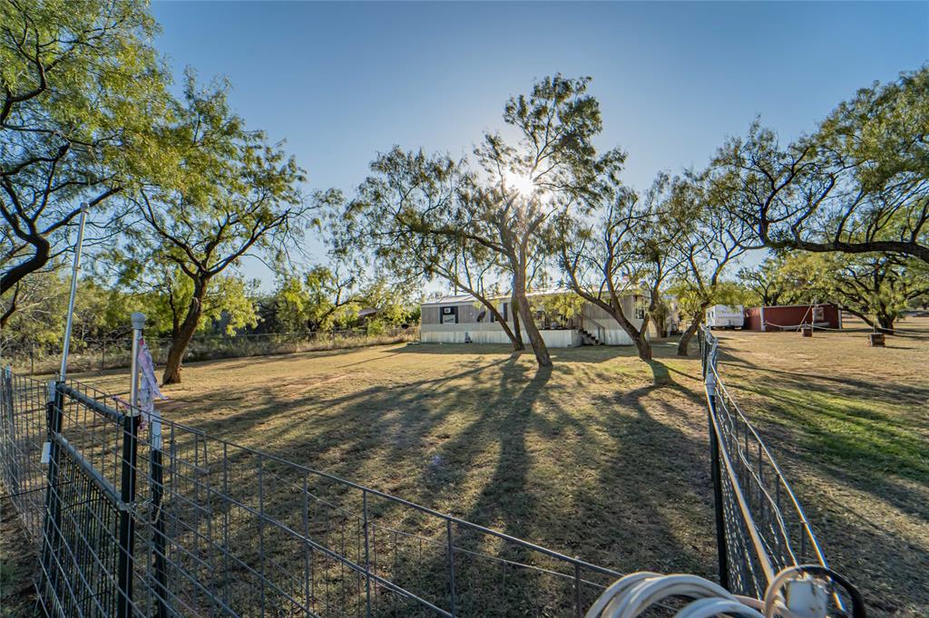 a view of a yard