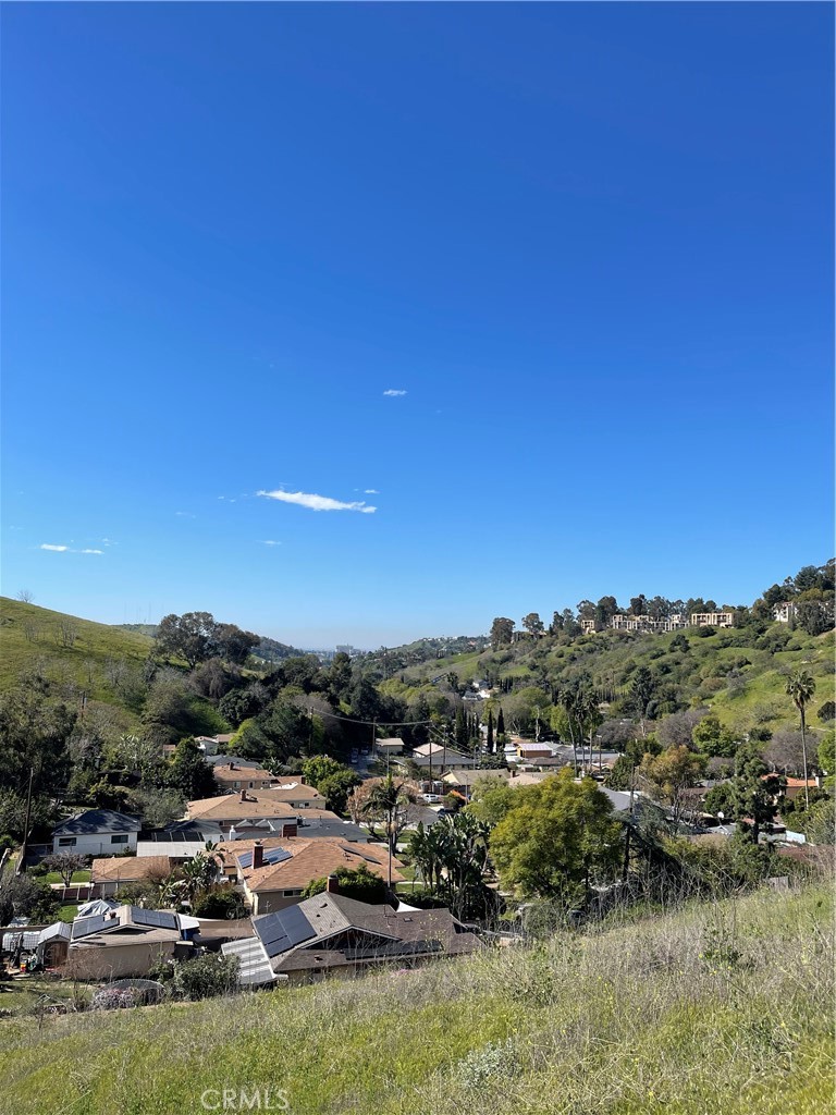 a view of a town with mountains in the background