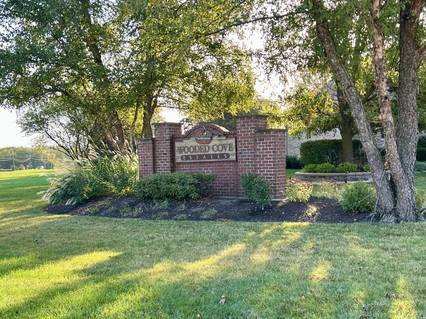 a view of a big yard next to a house