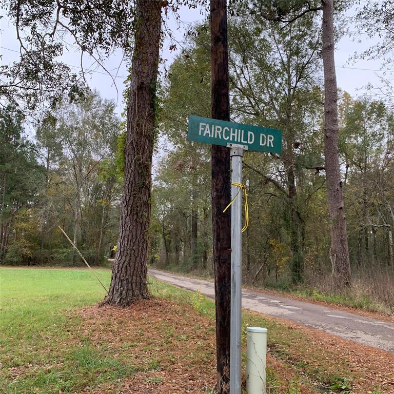 a tree in the middle of a yard