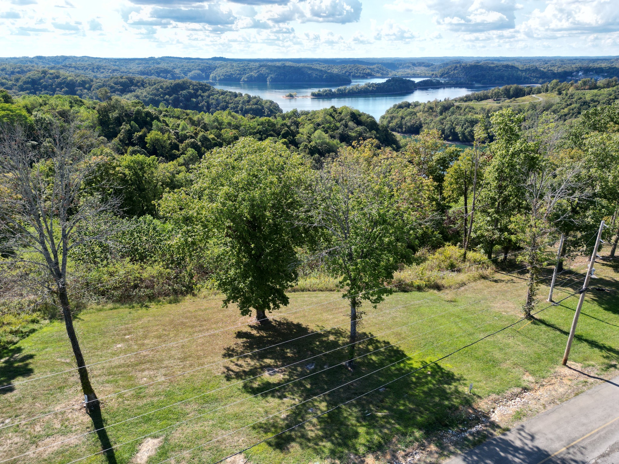 a view of a yard with a tree