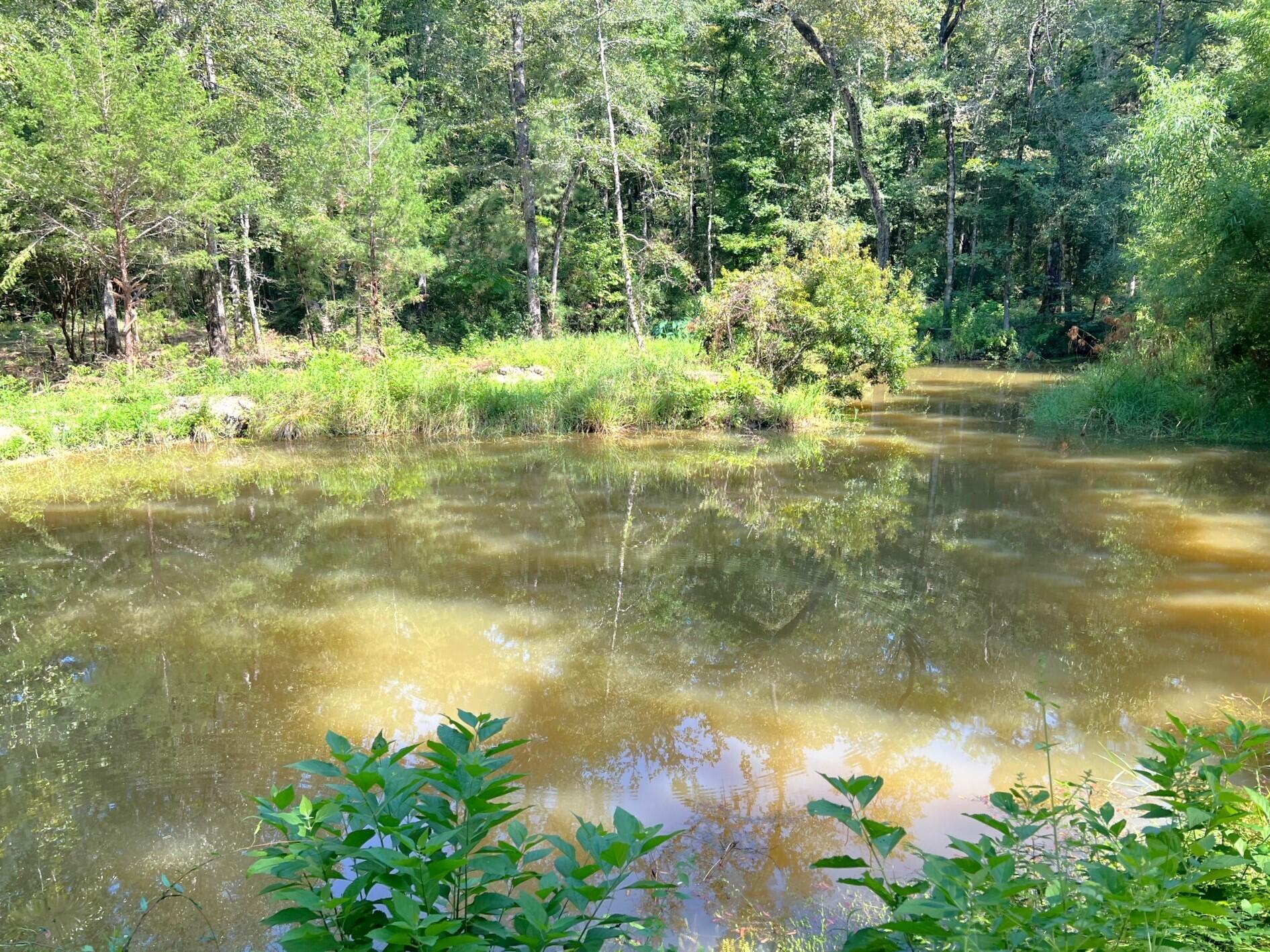 a view of a lake with a yard