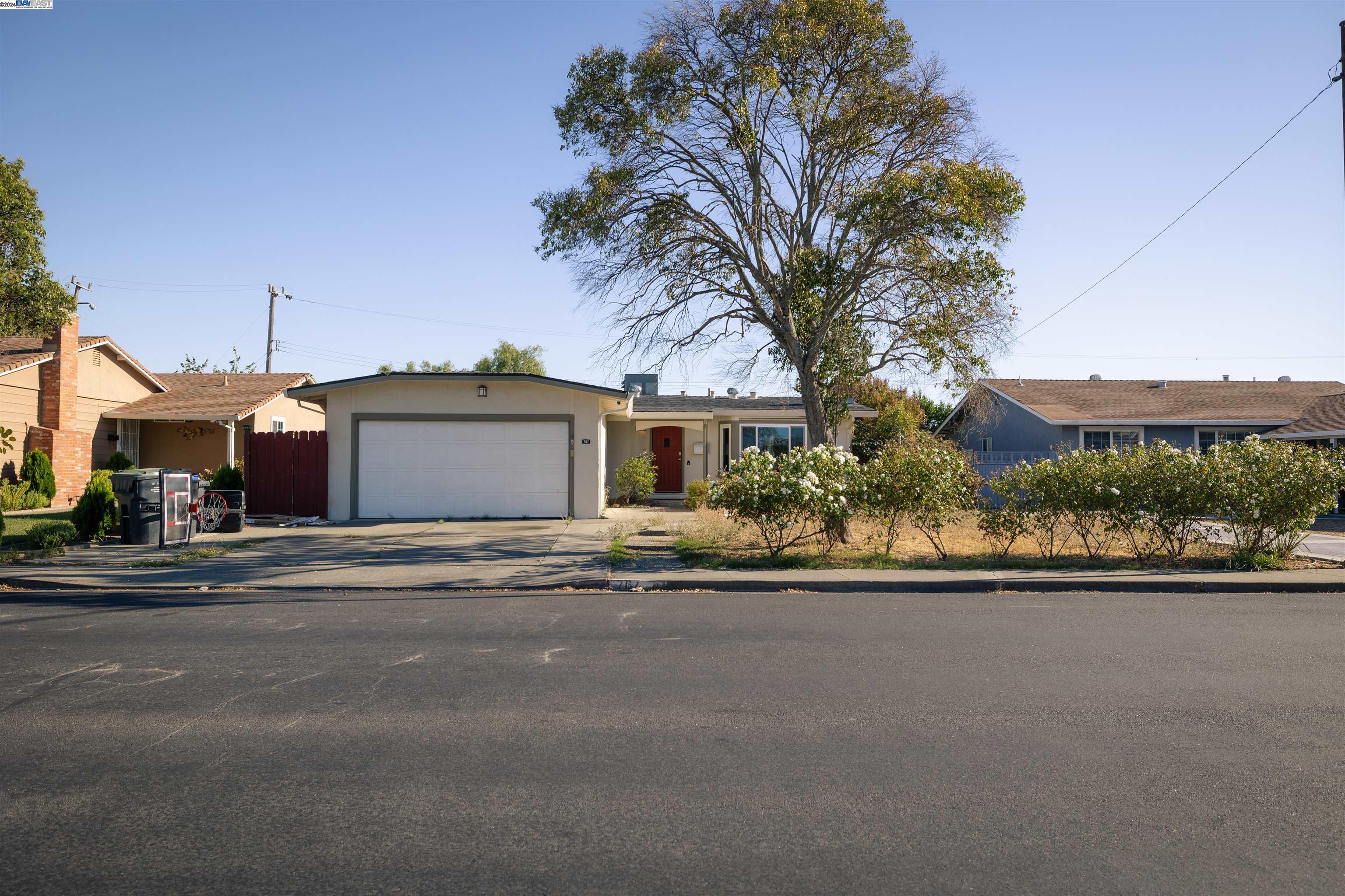 a front view of a house with a garden and tree