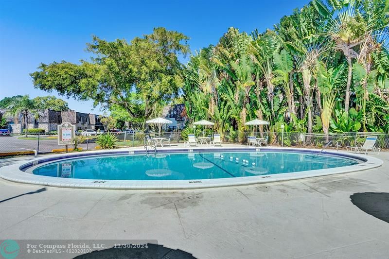 a view of a swimming pool with a yard