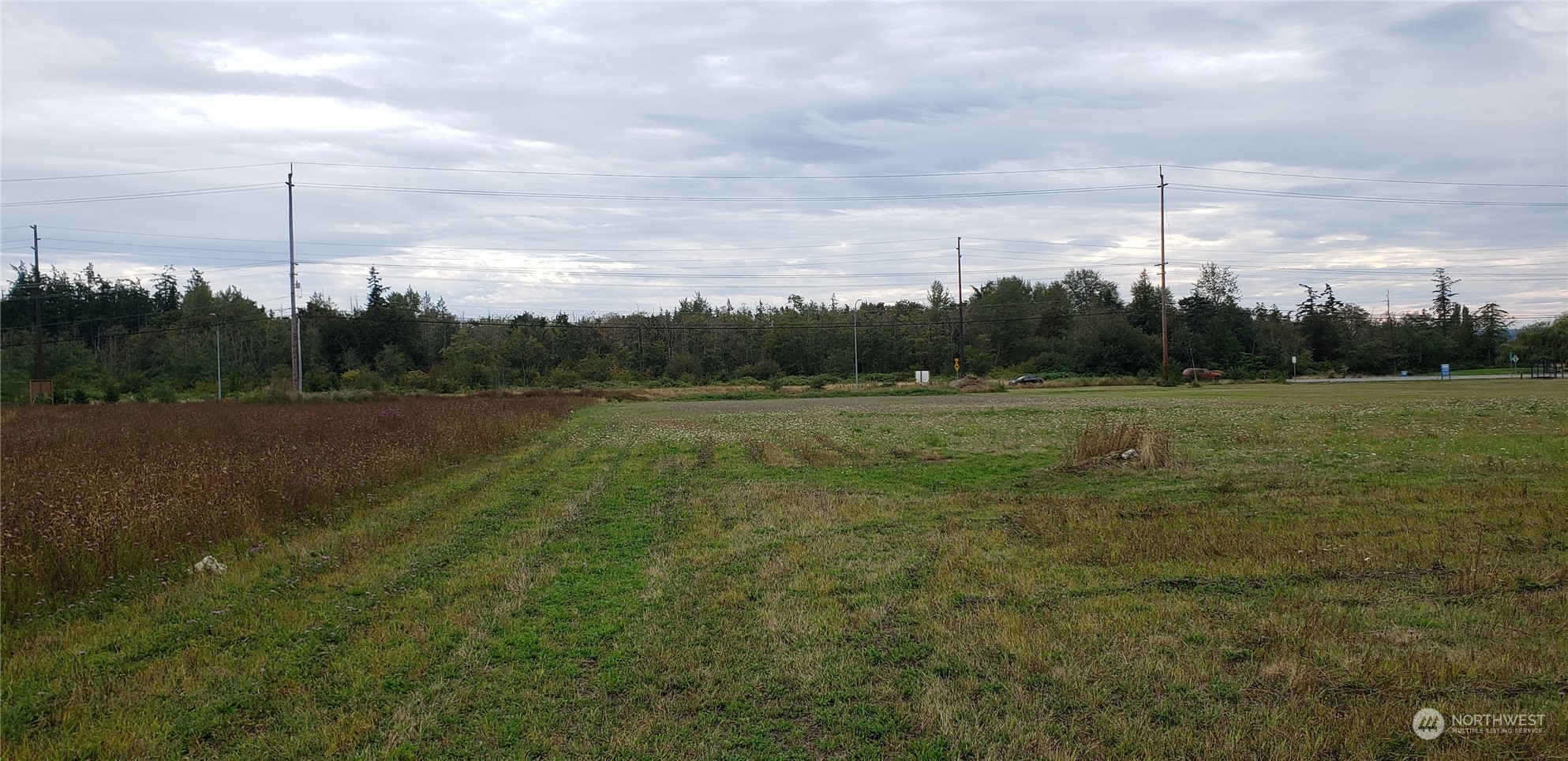 a view of a field with a tree in the background