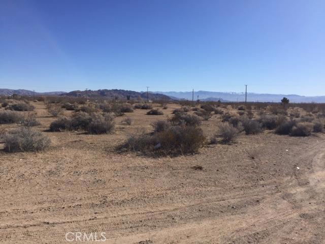 a view of a dry yard