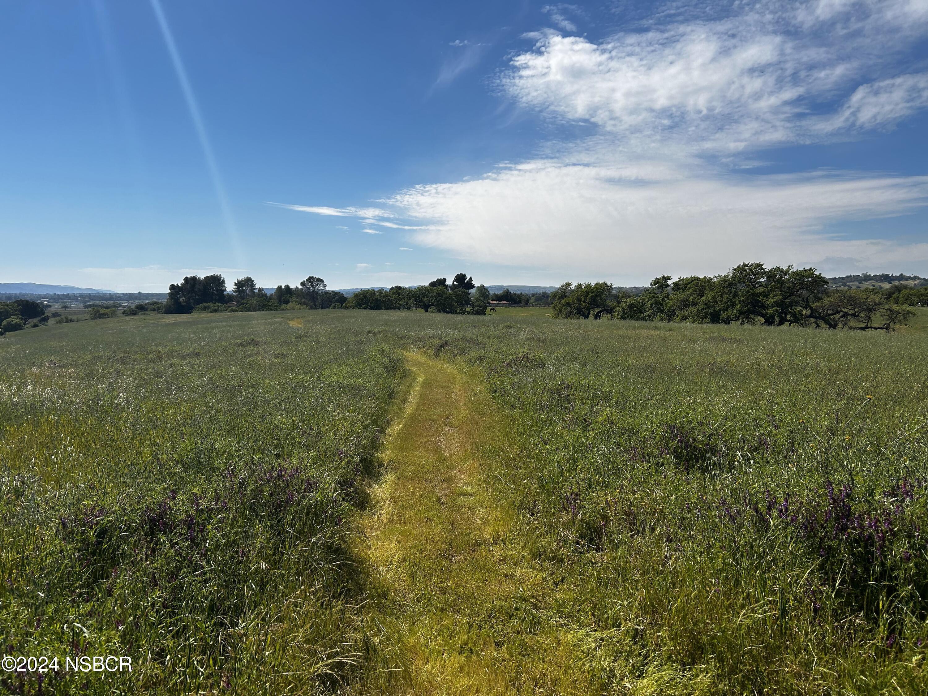 a view of a field with an ocean and trees