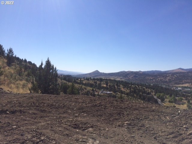 a view of a mountain range with a forest