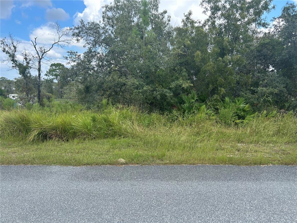 a view of a yard with a tree